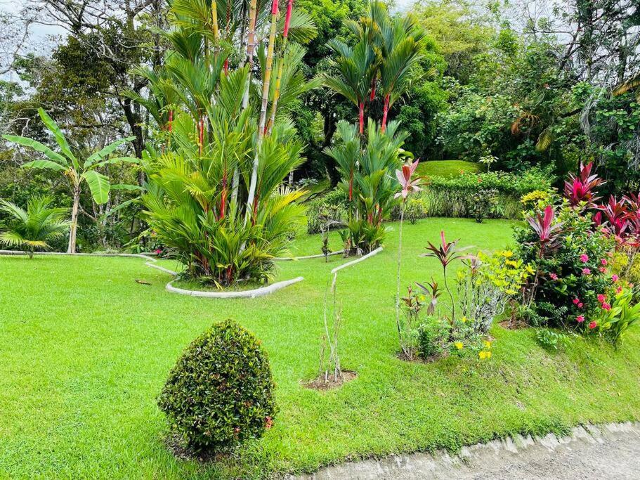 Suenos De Amor! Hermoso Y Acogedor Lugar Quepos Exterior foto